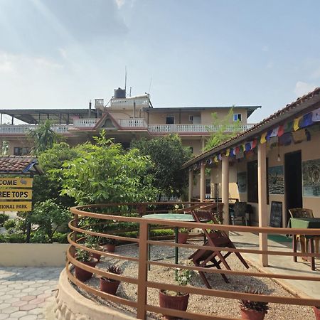 Hotel Tree Tops Sauraha Bagian luar foto