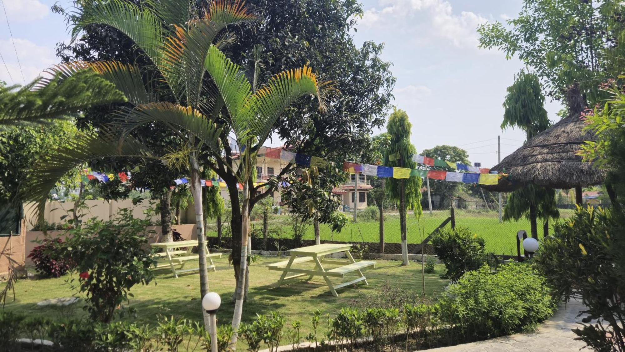 Hotel Tree Tops Sauraha Bagian luar foto