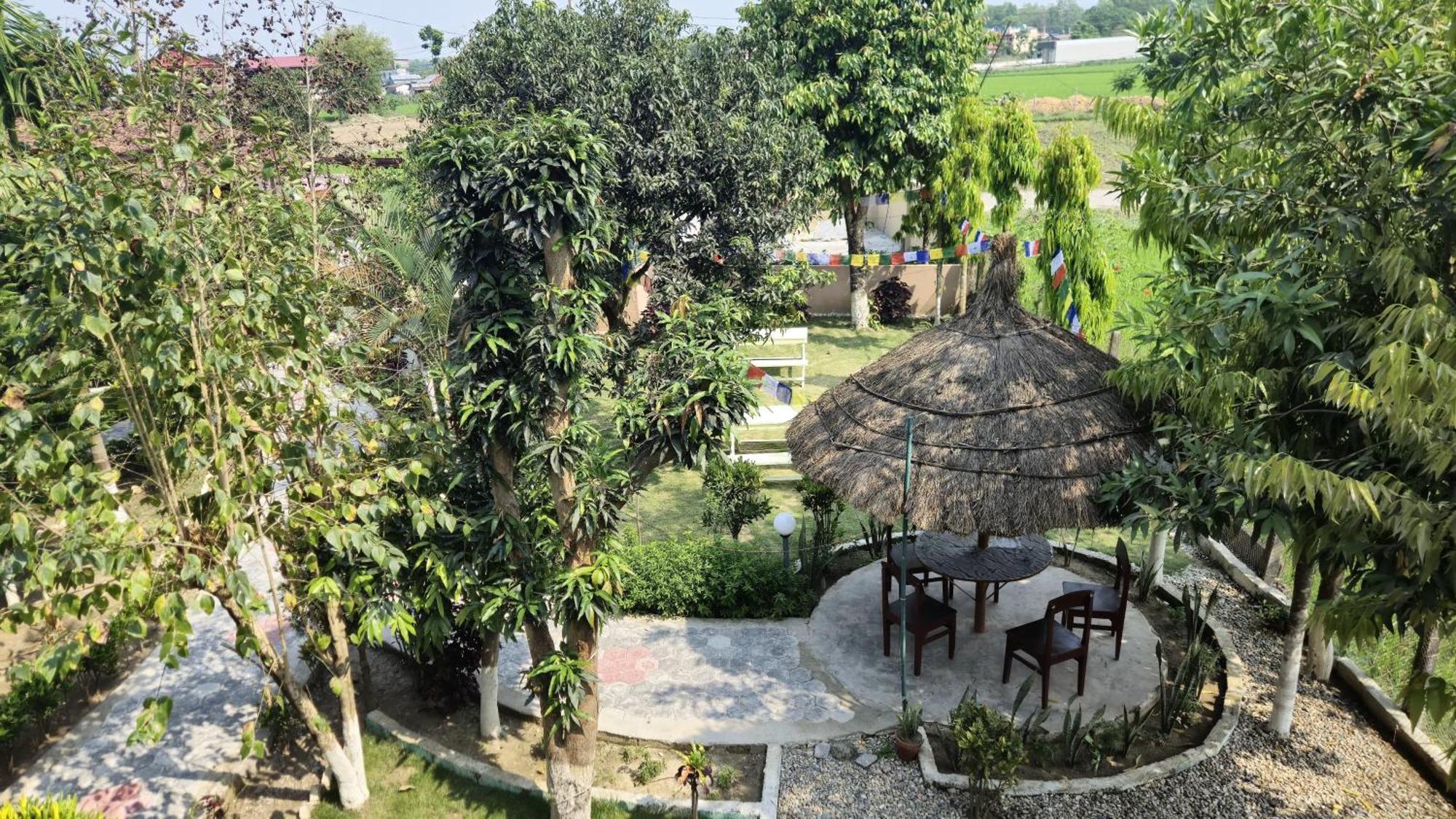 Hotel Tree Tops Sauraha Bagian luar foto
