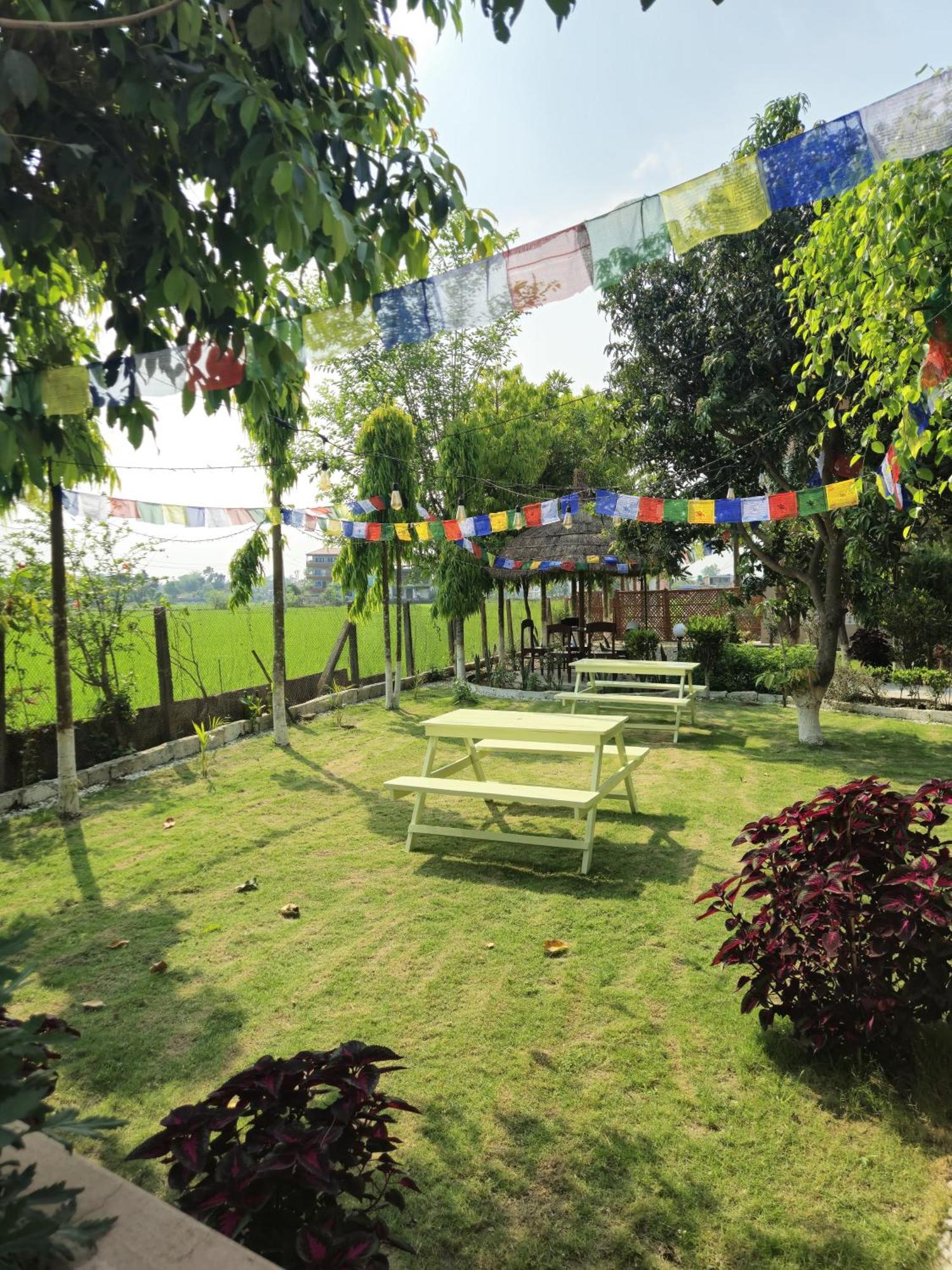 Hotel Tree Tops Sauraha Bagian luar foto