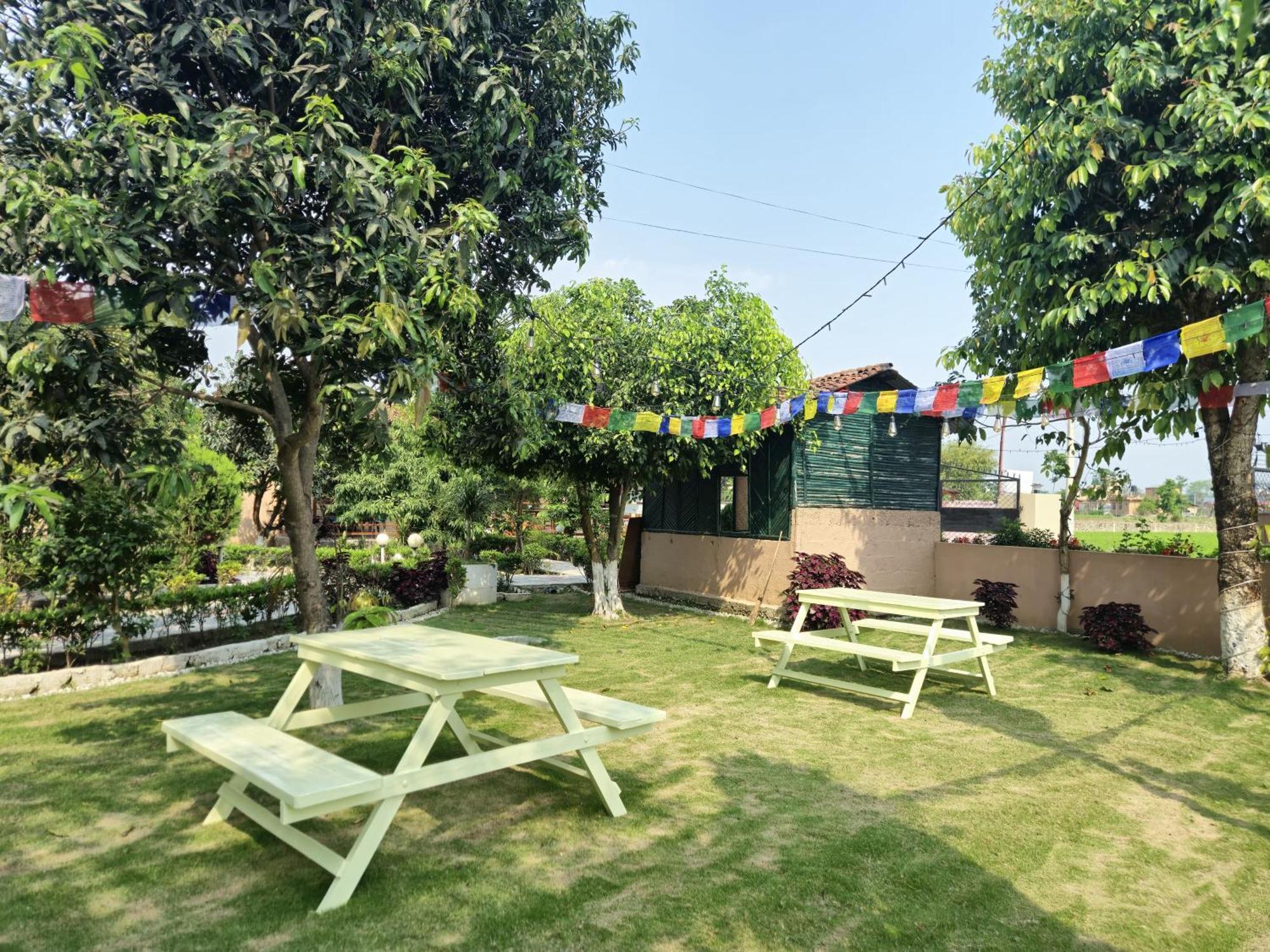 Hotel Tree Tops Sauraha Bagian luar foto